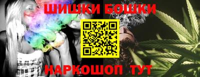 тгк Бийск