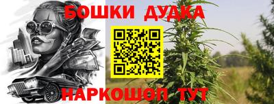 тгк Бийск