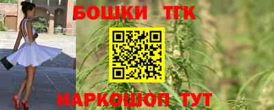 тгк Бийск