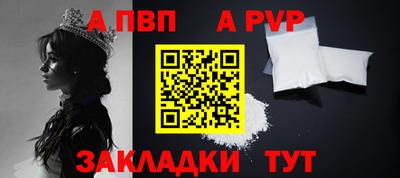 тгк Бийск